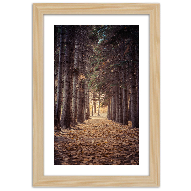 Picture in natural frame, Forest in autumn