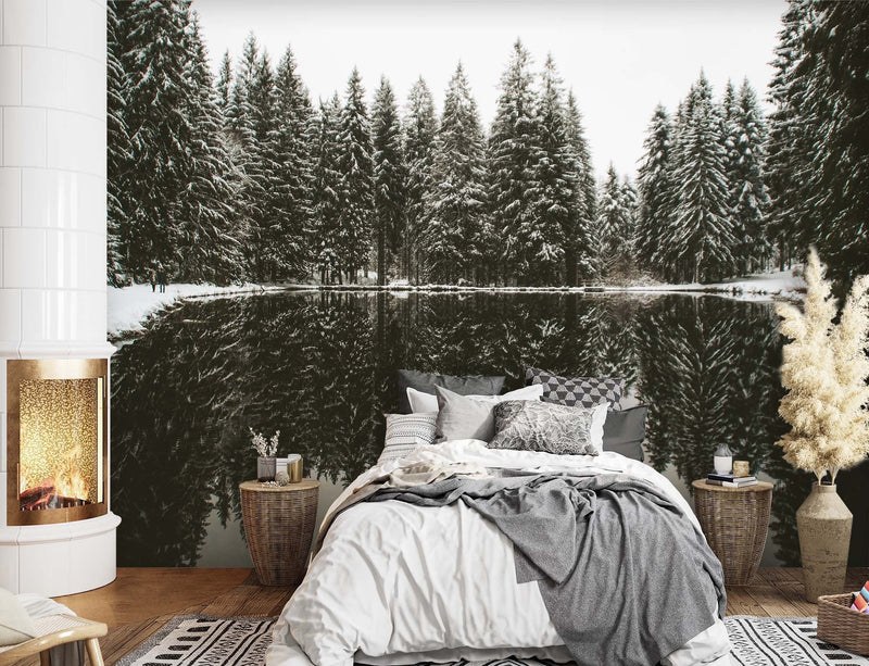 Wallpaper, Lake in the forest in winter