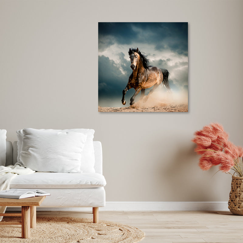 Canvas print, Gallop of the horse