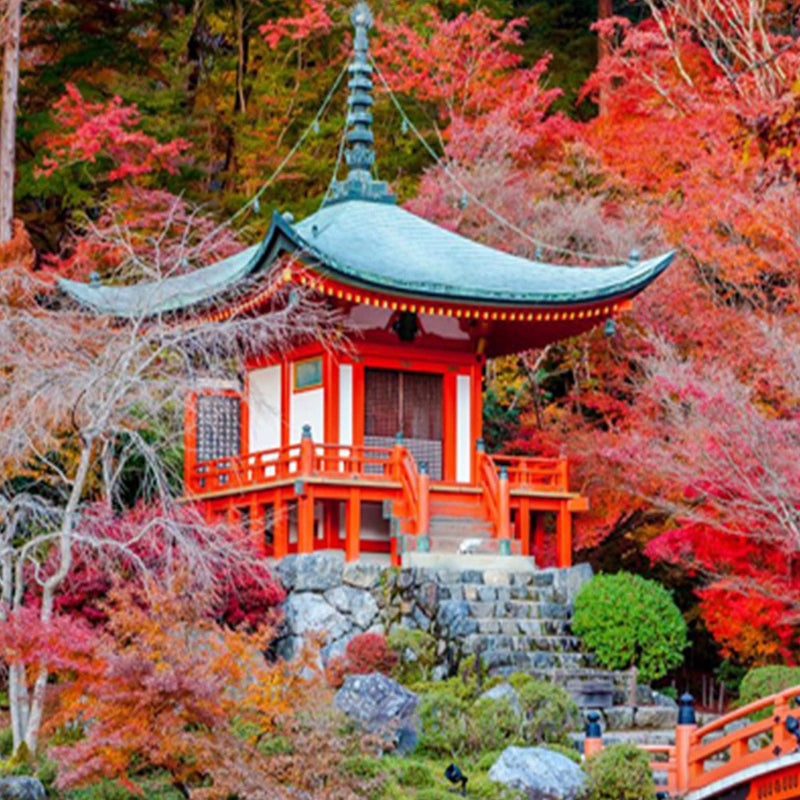 Separador de ambientes de doble cara, jardín de estilo japonés.
