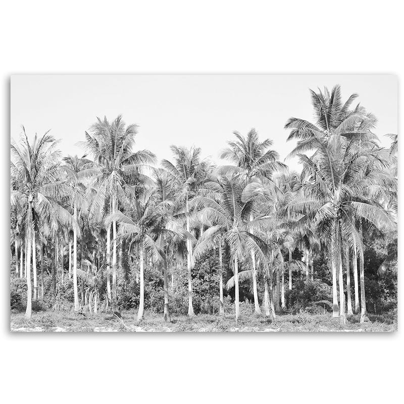 Deco panel print, Black and white palm trees in the jungle
