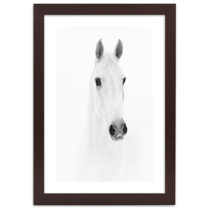 Picture in brown frame, Grey horse