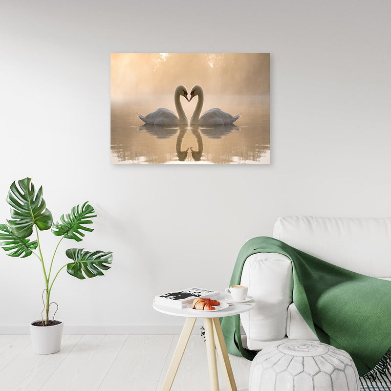 Canvas print, Swans on a pond in the morning