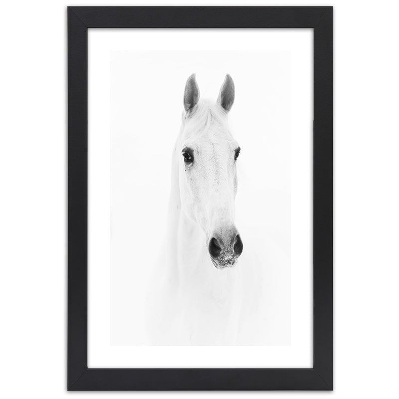 Picture in black frame, Grey horse