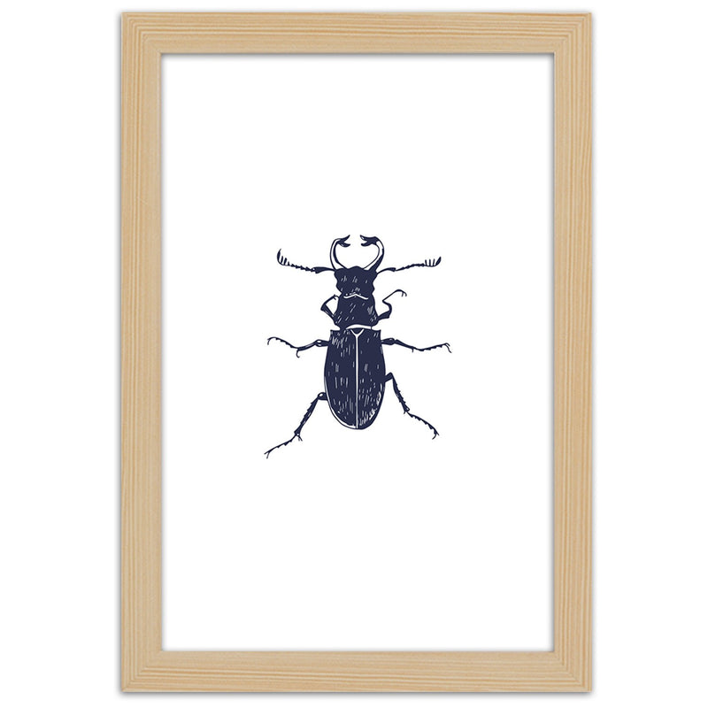 Cuadro en marco natural, Escarabajo negro