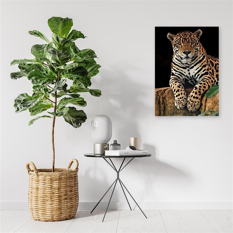 Deco panel print, Resting leopard