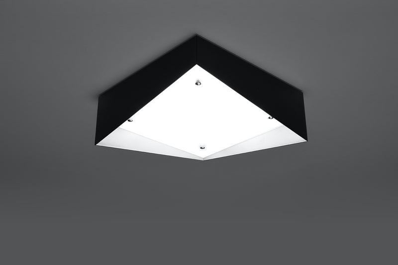 Plafondlamp AVIOR zwart