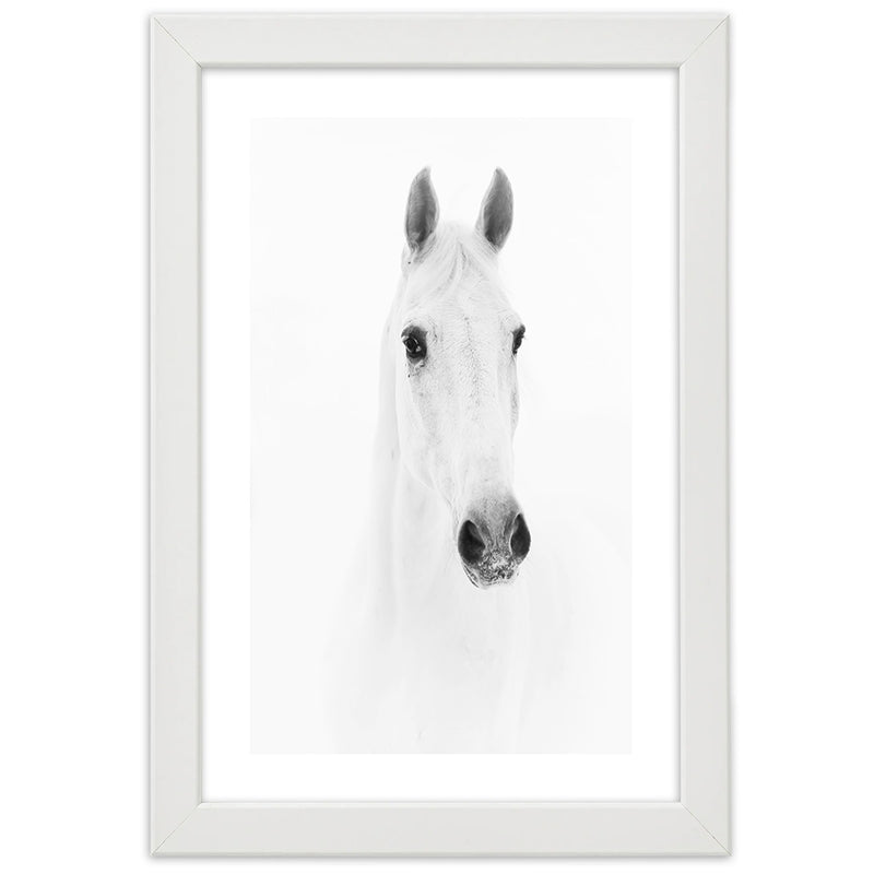 Picture in white frame, Grey horse
