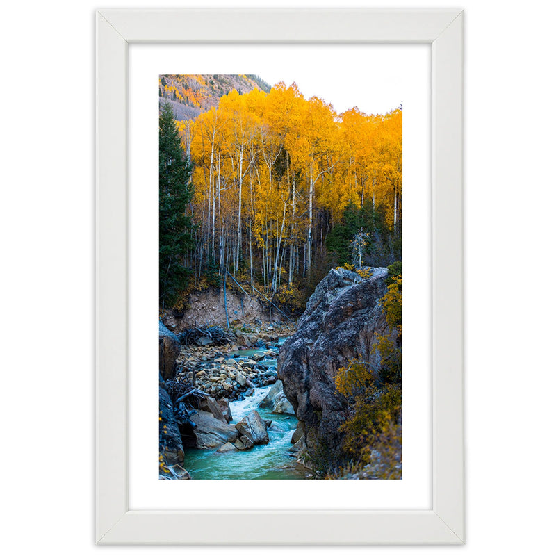 Picture in white frame, A stream in the forest