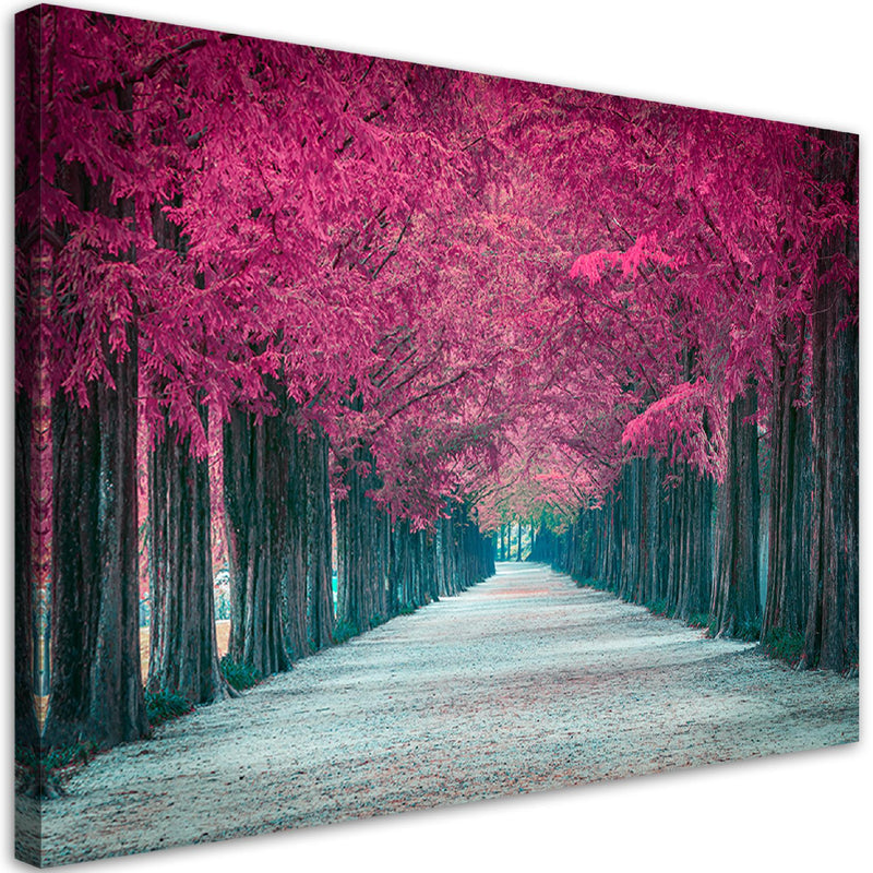 Canvas print, Avenue of pink trees