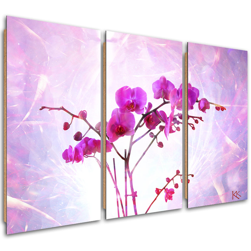 Panel decorativo con cuadros de tres piezas, Flor de orquídea