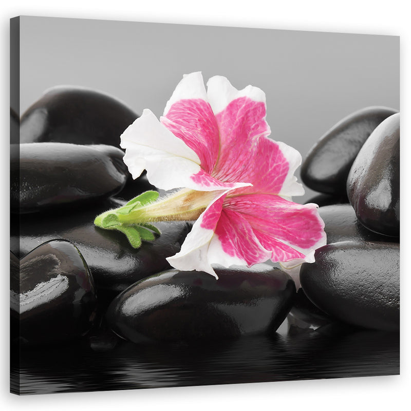 Canvas print, Pink flower on zen stones