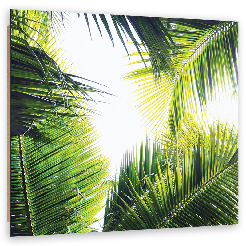 Deco panel print, Palm leaves