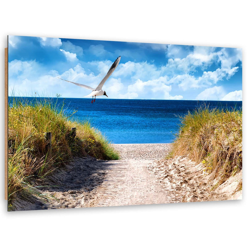 Deco panel print, Path to the beach and a seagull