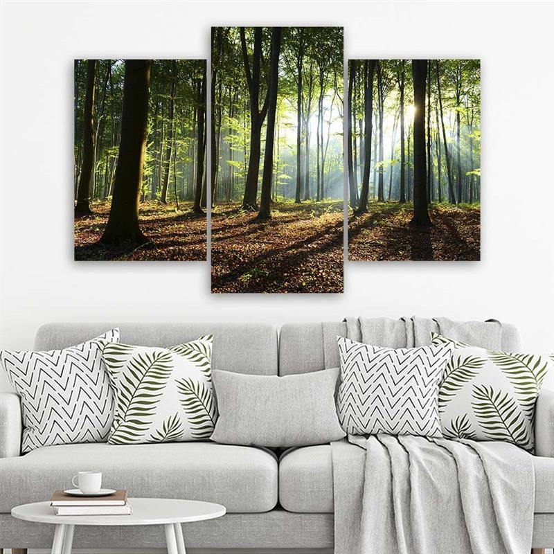 Three piece picture canvas print - Morning forest