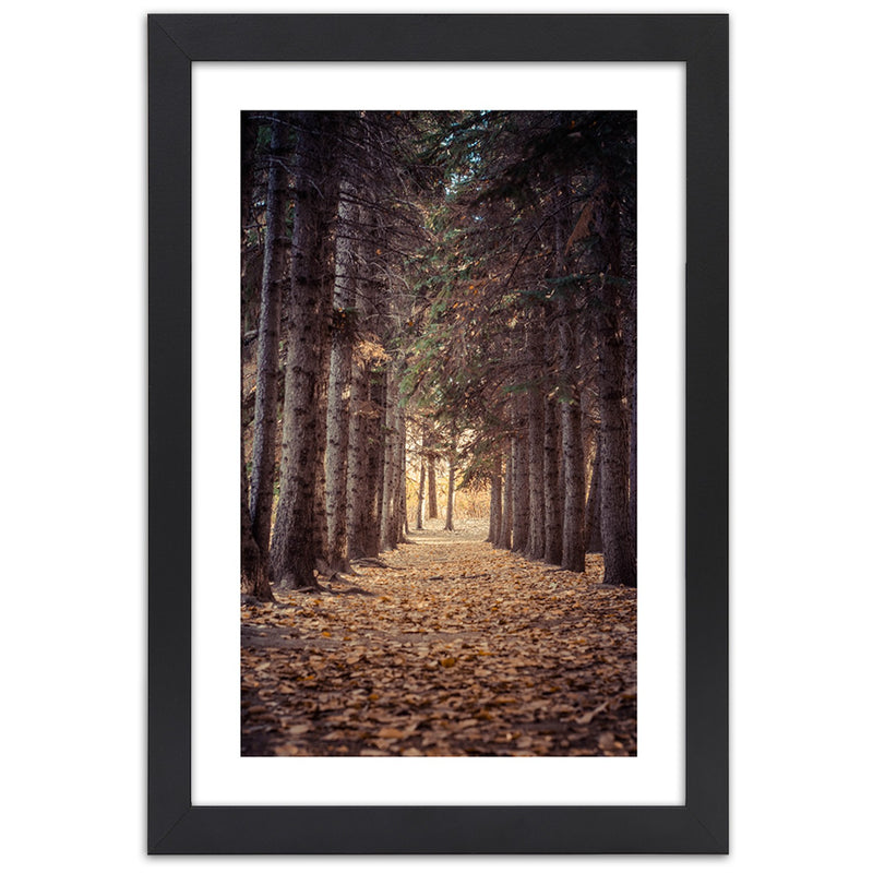 Picture in black frame, Forest in autumn