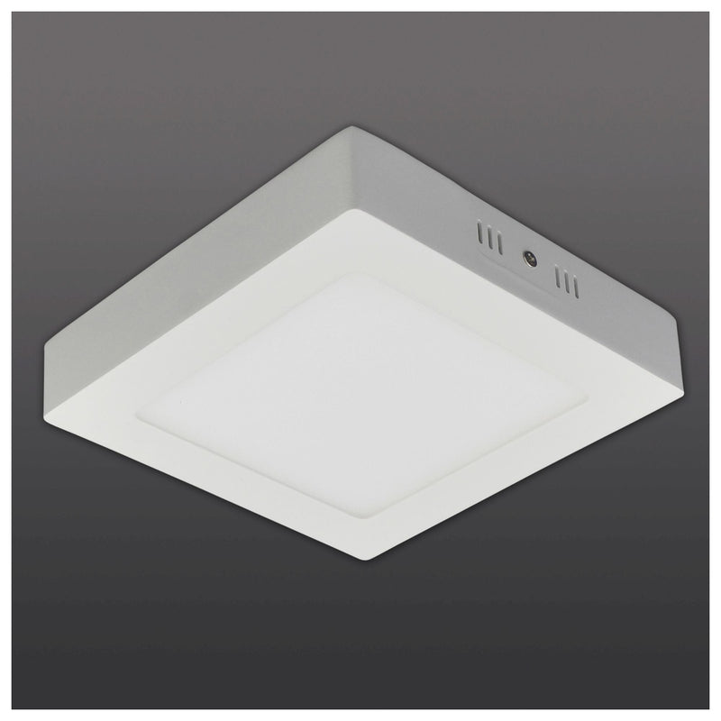 LED Ceiling Light Simplex