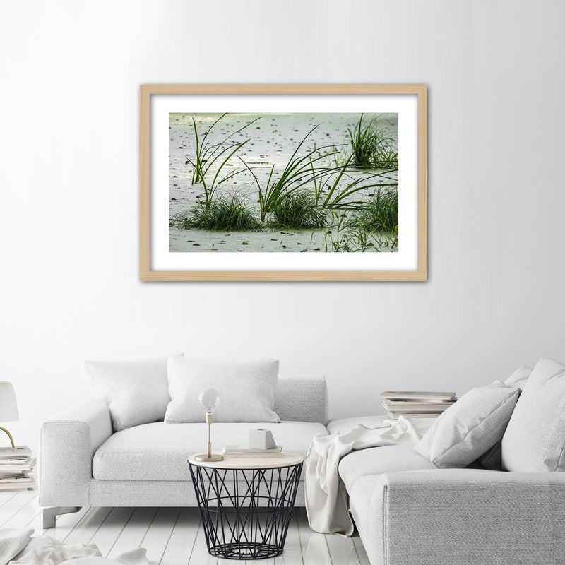 Picture in natural frame, Grasses on the beach