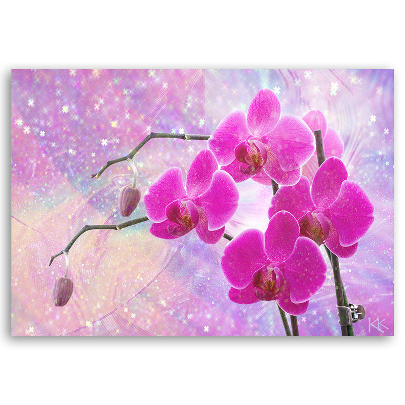 Cuadro, Resumen de flores de orquídeas
