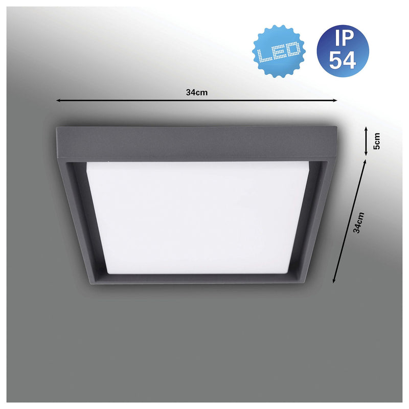 LED Outdoor Wall Light IP54 Mio s: 34cm