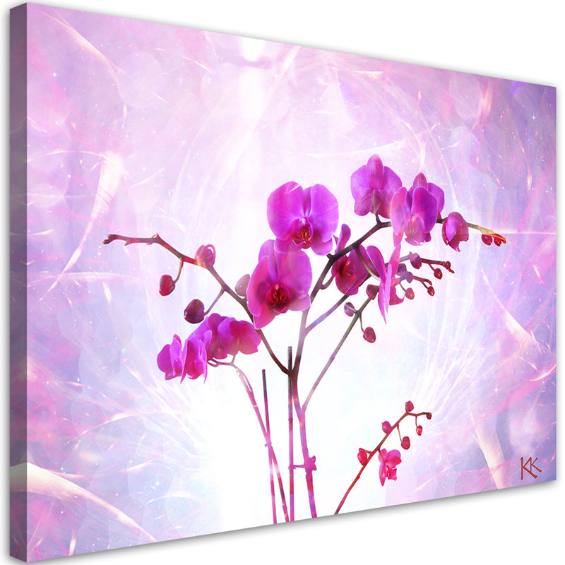 Canvas print, Orchid flower