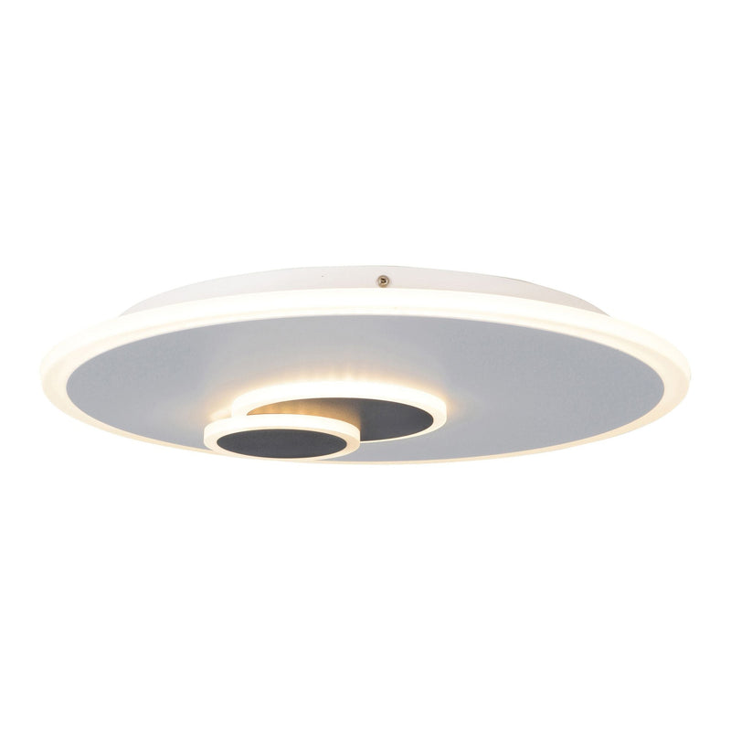 LED Wall and Ceiling Light Aarhus d: 47cm