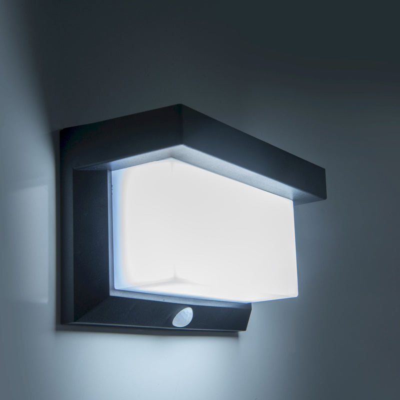 LED Solar Outdoor Wall Light with Motion Detector