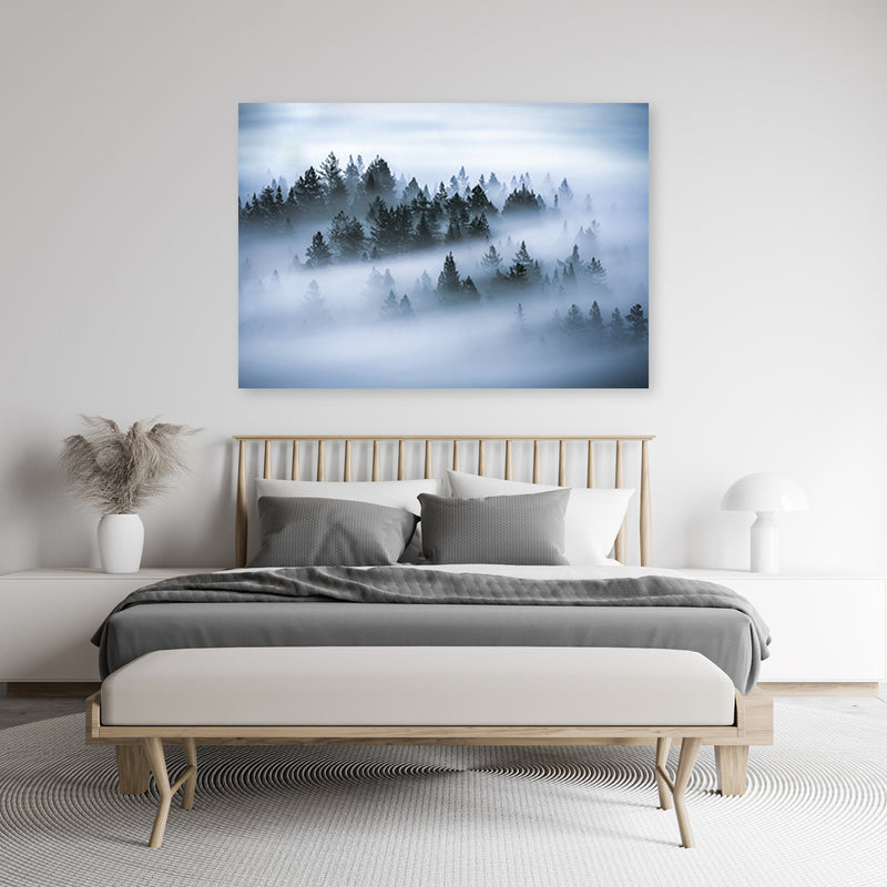 Canvas print, Forest in the fog