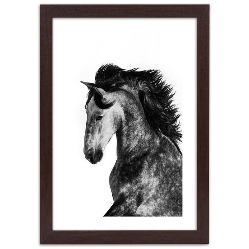 Picture in brown frame, Wild steed