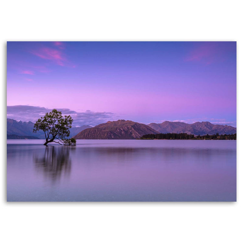 Canvas print, Tree on a lake
