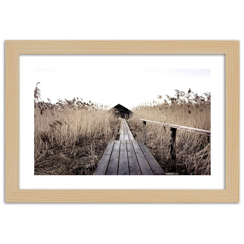 Picture in natural frame, Old pier in high reeds