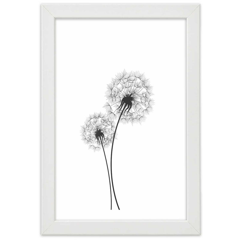 Picture in white frame, Drawn two dandelions