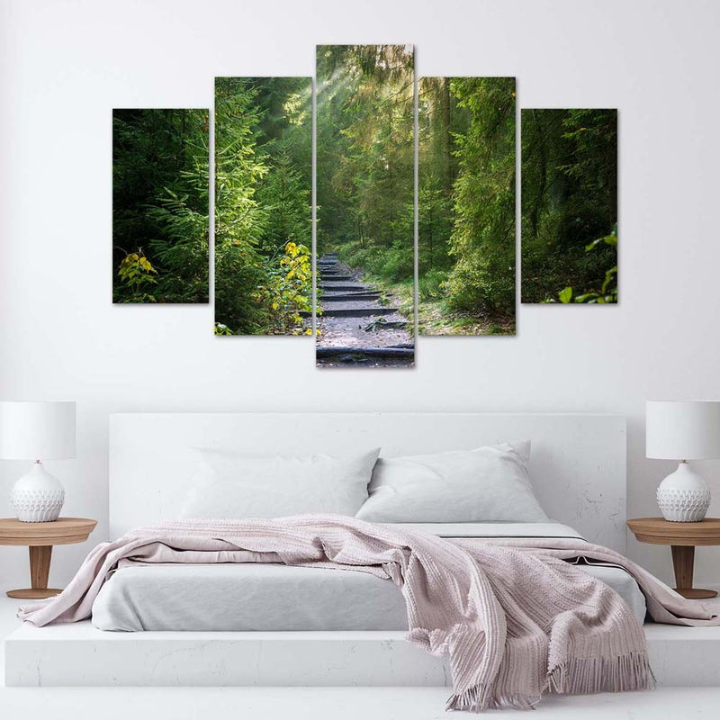 Five piece picture canvas print, Path in a green forest