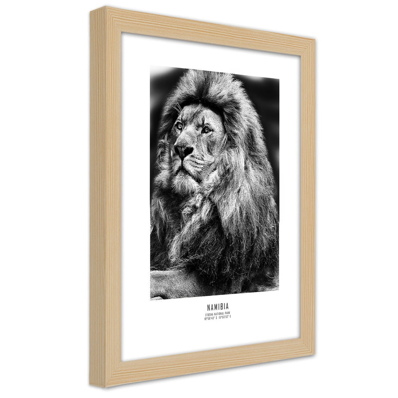 Picture in natural frame, Symbol of africa