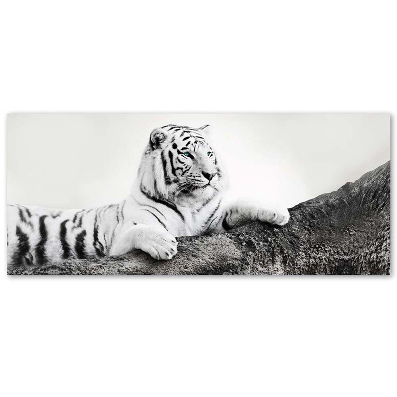 Canvas print, Watchful tiger