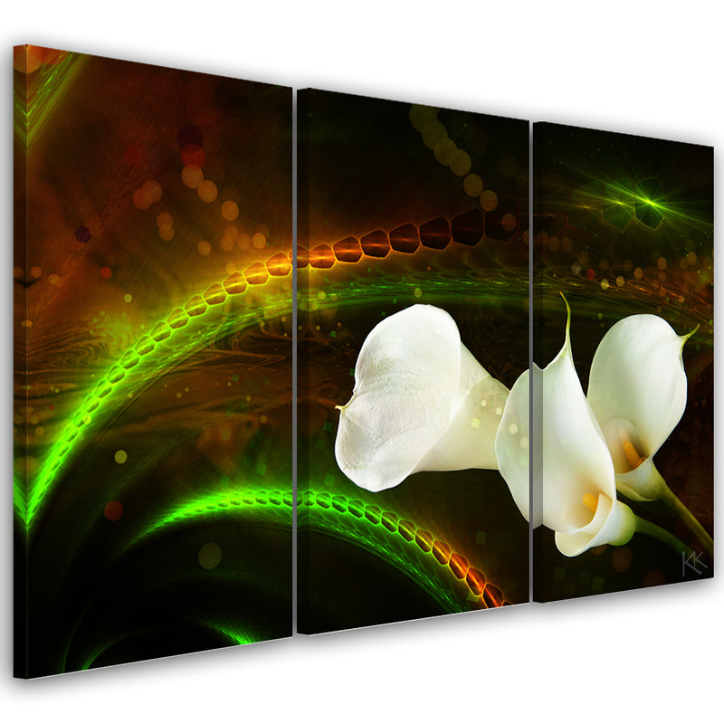 Three piece picture canvas print, BiaÅ‚e kwiaty na brÄ…zowym tle