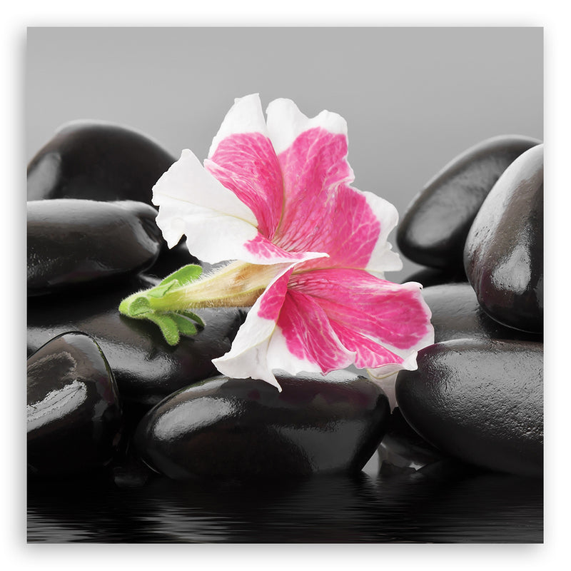Panel decorativo estampado, Flor rosa sobre piedras zen.