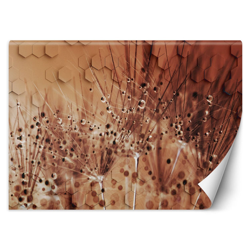 Wallpaper, Dandelion Dewdrops Brown