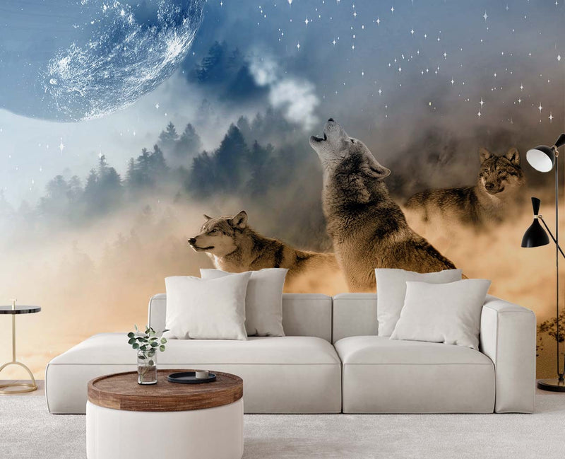 Wallpaper,  wolves animals forest nature