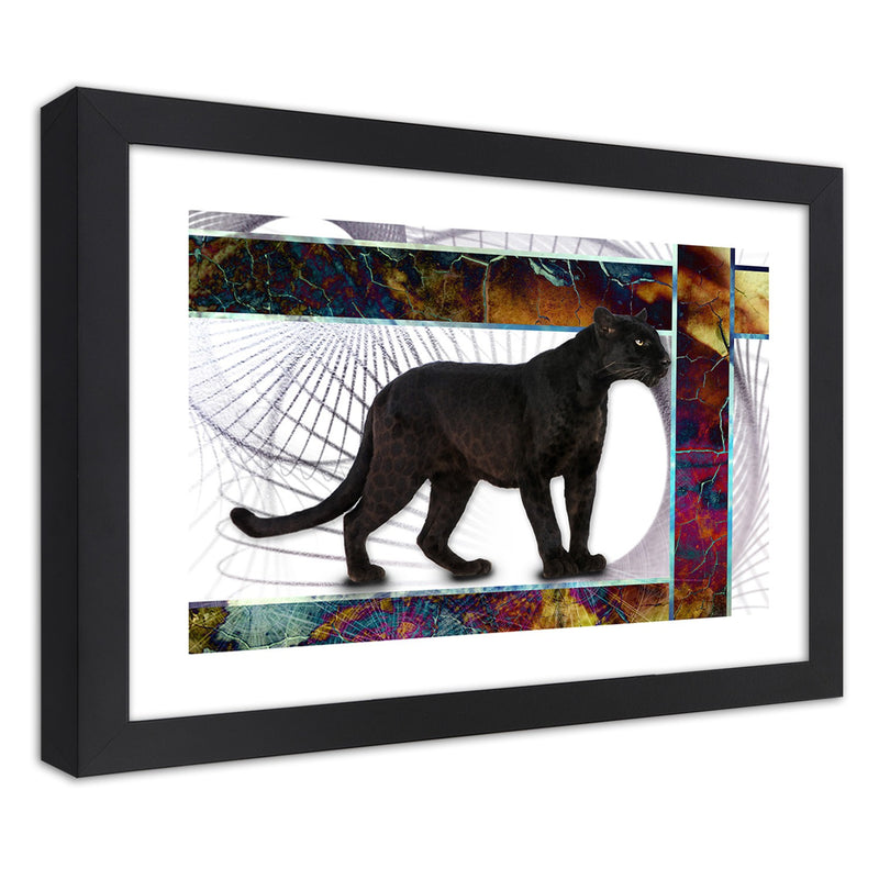 Picture in black frame, Attentive panther