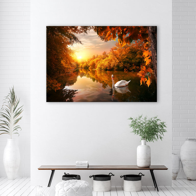 Canvas print, Swan on the pond autumn
