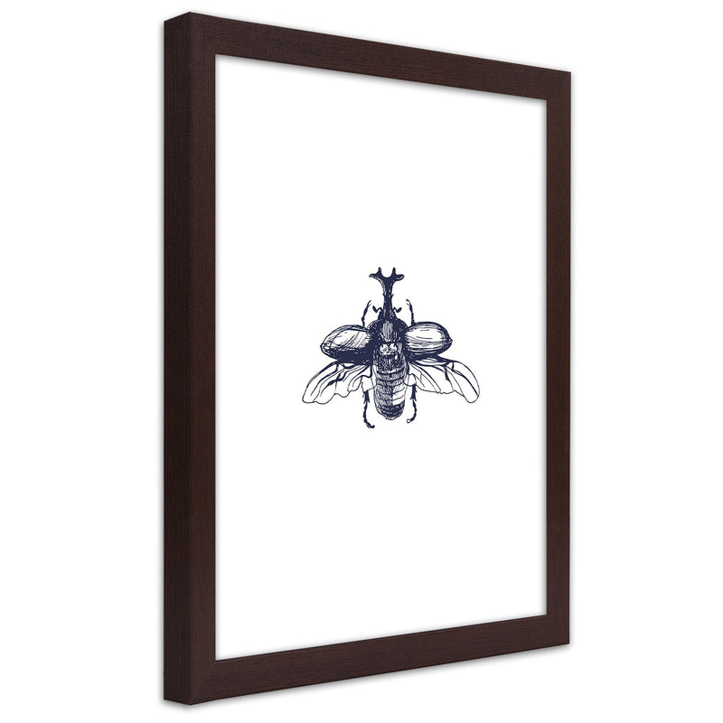 Picture in brown frame, Flying beetle