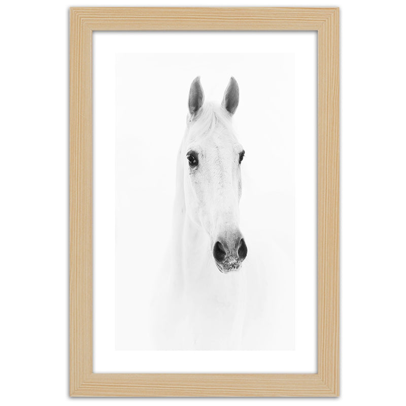 Picture in natural frame, Grey horse