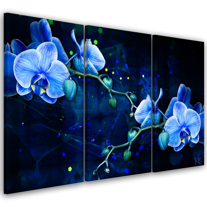 Three piece picture canvas print, Blue orchid flower