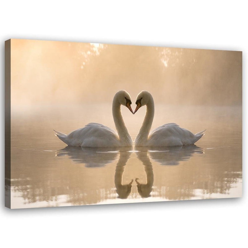 Canvas print, Swans on a pond in the morning