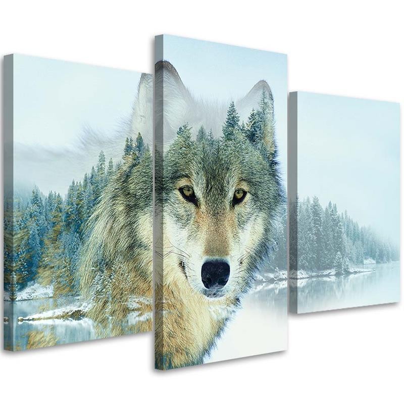 Three piece picture canvas print, Polar wolf