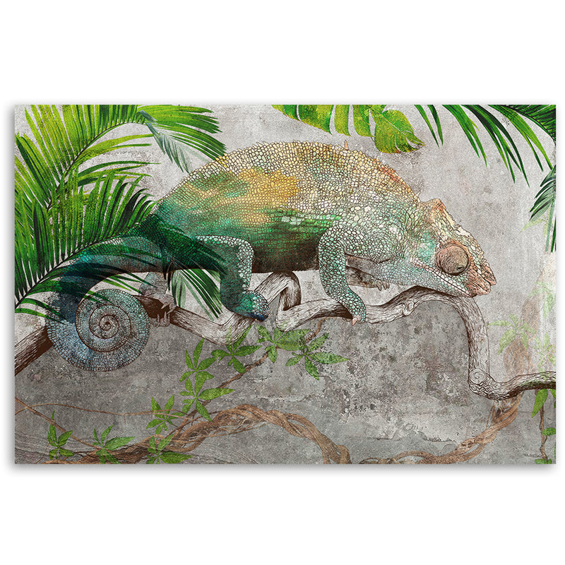 Canvas print, Chameleon on branch jungle