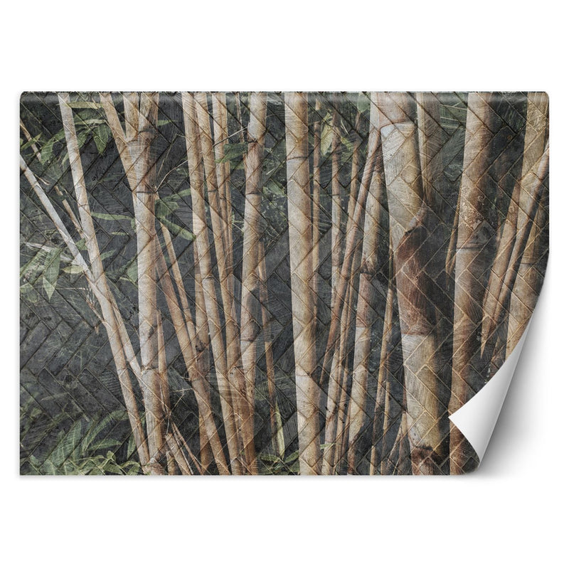 Papel pintado, bosque de bambú