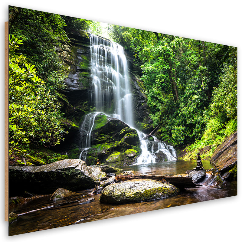 Deco panel print, Waterfall in a green forest