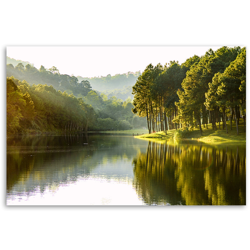Deco panel print, Forest landscape of trees nature